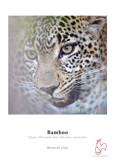 Hahnemuhle Bamboo